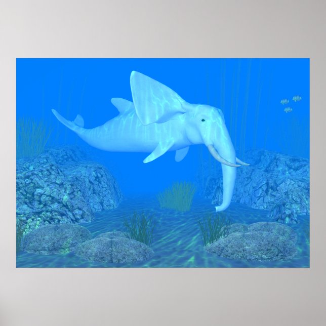 Póster El Deportivo Adorable (Frente)