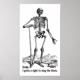 Póster El derecho a cantar el Blues