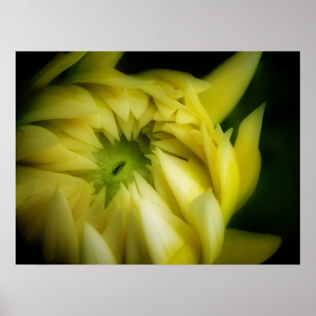 Póster El desarrollo (Frente)