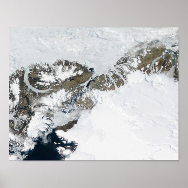 Póster El deshielo del verano (Frente)