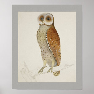 Póster El destino del destino de la oficina de la cabaña