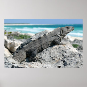 Póster El Día De La Iguana