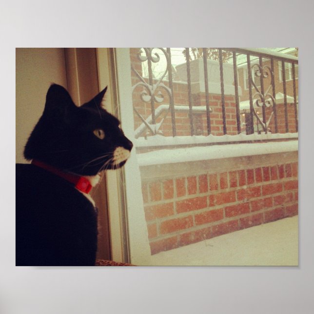 Póster El Día de la Nieve de Lucy (Frente)