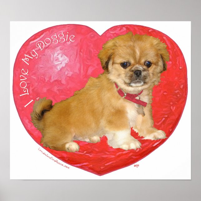 Póster El día de San Valentín mixto Pekingese / Shih Tzu (Frente)