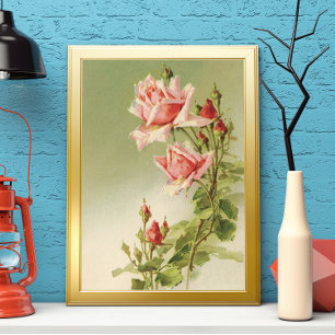 Póster El día de San Valentín Vintage Rosa de Jardín Vict