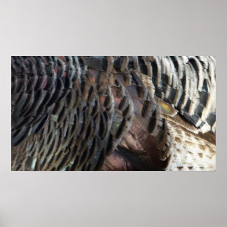Póster El diseño de la naturaleza abstracta de las plumas