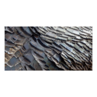 Póster El diseño de la naturaleza abstracta de los plumas