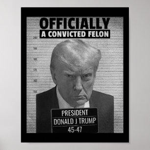 Póster El Divertido Presidente Trump Es Oficialmente Un I