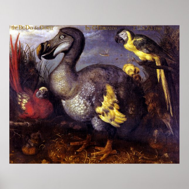 Póster El Dodo Y Los Amigos (Frente)