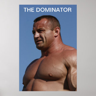 Póster El dominador