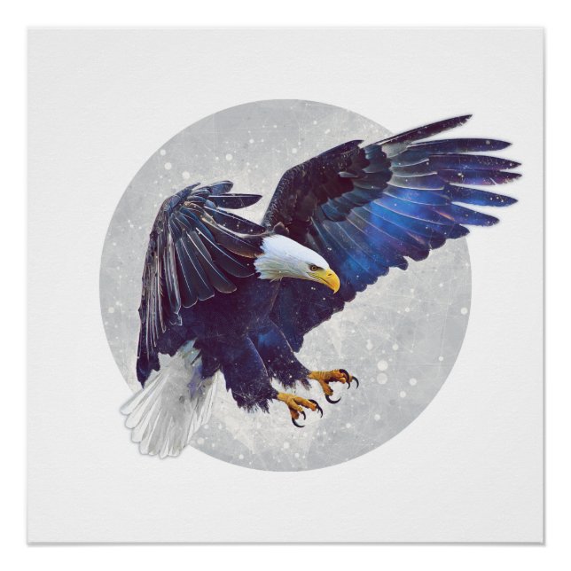 Póster El dron de la naturaleza (Anverso)