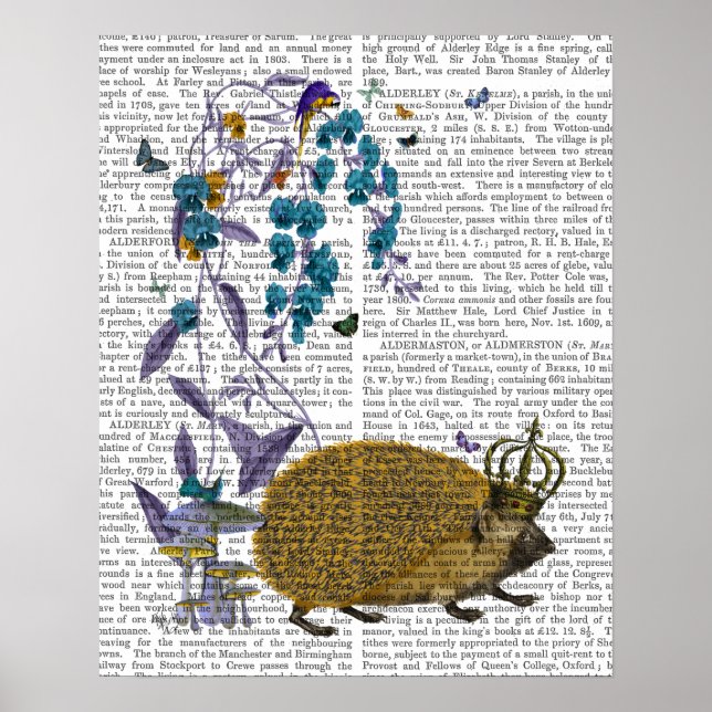 Póster El edgehog de oro (Frente)