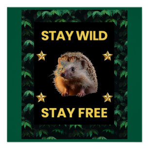 Póster El edgehog - Mantente salvaje libre