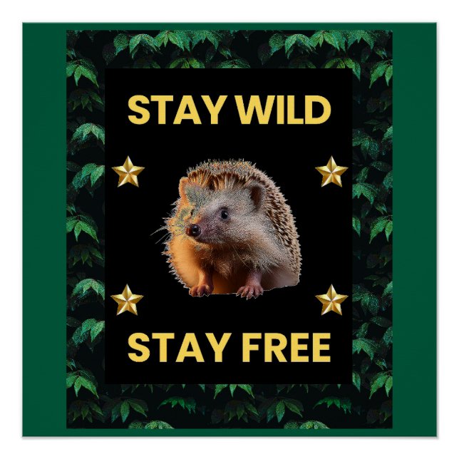 Póster El edgehog - Mantente salvaje libre (Anverso)