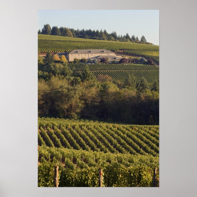 Póster El edificio de bronceado de Archery Summit se encu (Frente)