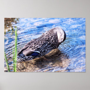 Póster El efecto creciente