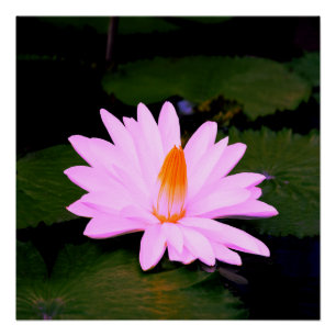 Póster El efecto Monet...