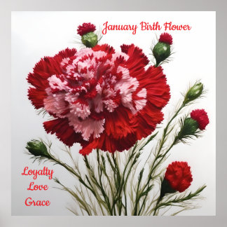 Póster El elegante y eterno clavel de las flores de nacim