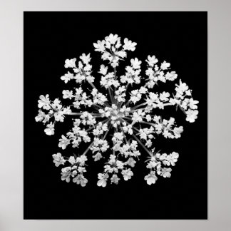 Póster El encaje de la Reina Ana