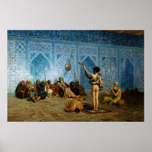 Póster El encanto de los serpientes