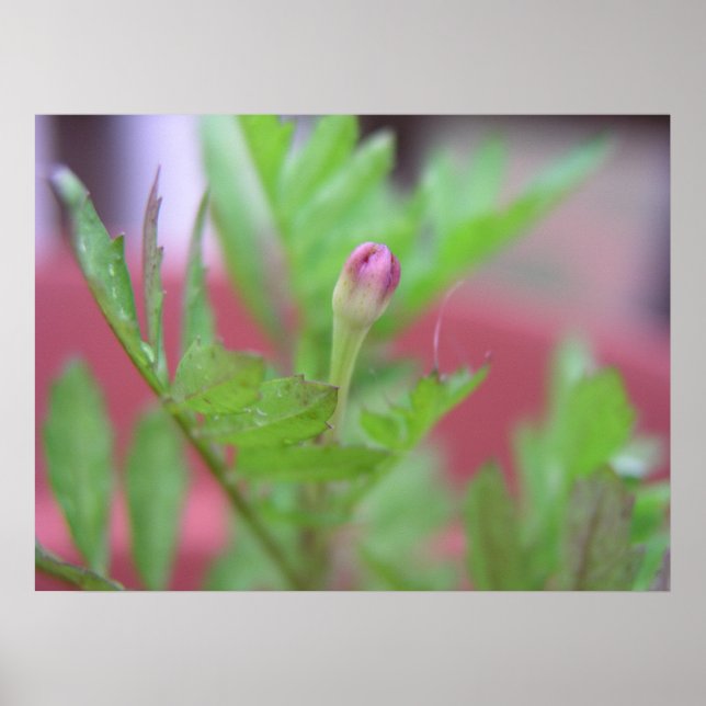 Póster El error (Frente)