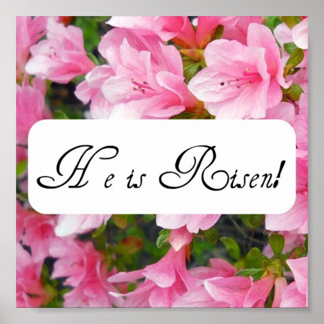 Póster ¡Él es Risen! (Frente)