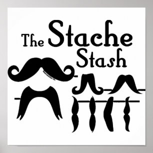 Póster El escondite de Stache