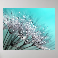 El esperanzador dew Dandelion Aqua Cyan Background