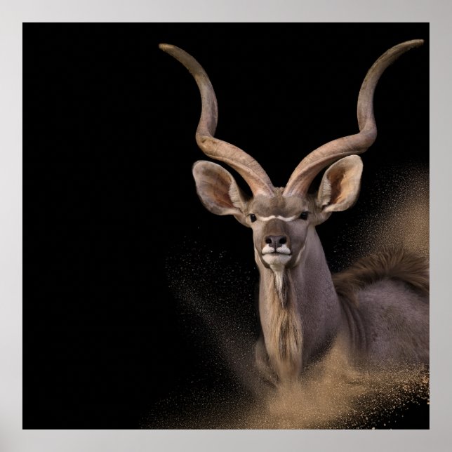 Póster El espíritu del Kudu (Frente)