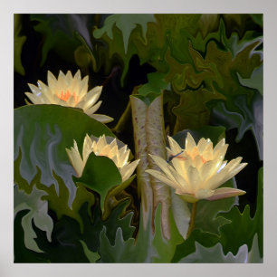 Póster El estanque de la Fae....