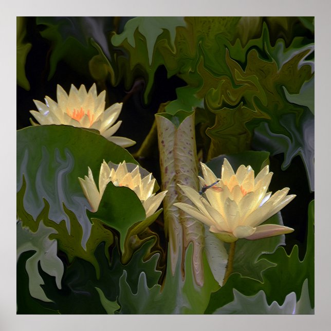 Póster El estanque de la Fae.... (Frente)