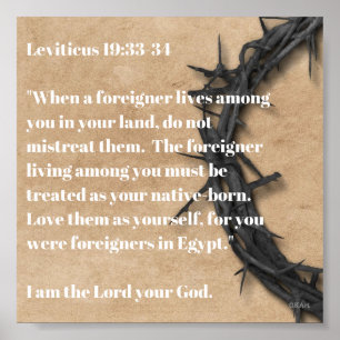 Póster El extranjero