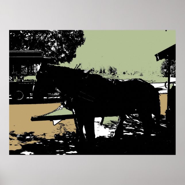 Póster El famoso caballo de tranvía de Stanley Park (Frente)