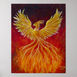 Póster El Fénix
