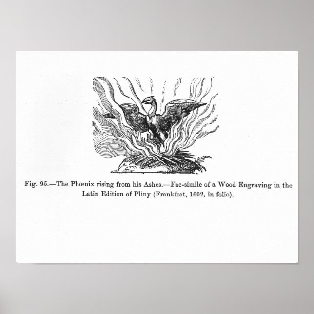 Póster El Fénix levantándose de sus cenizas (Frente)