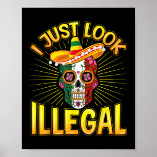 Póster El Fiesta mexicano Cinco De Mayo que acabo de pare