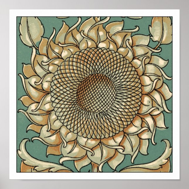 Póster El florecimiento del girasol en el fondo azul-verd (Frente)