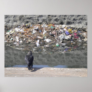 Póster El foco del buche en el poster de la basura