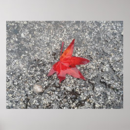 Póster El fondo del zoom de la oficina de la hoja roja'-