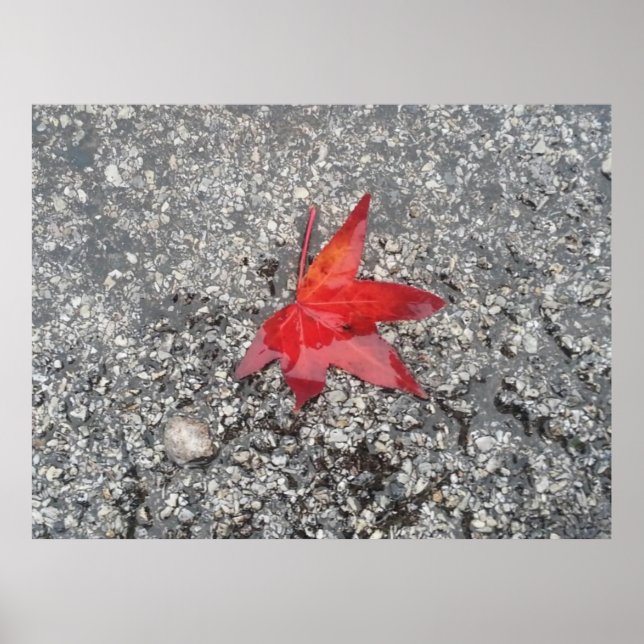 Póster El fondo del zoom de la oficina de la hoja roja'- (Frente)