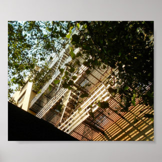 Póster El fuego huye a la sombra y al sol