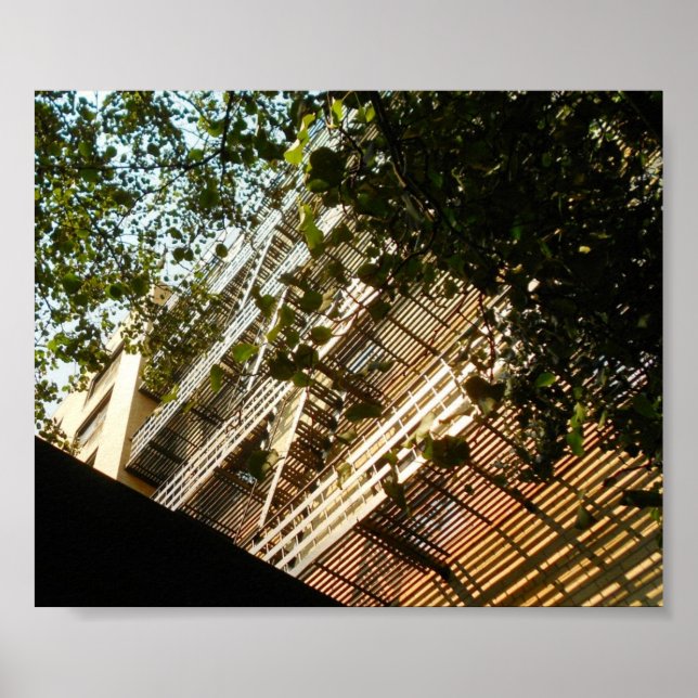 Póster El fuego huye a la sombra y al sol (Frente)