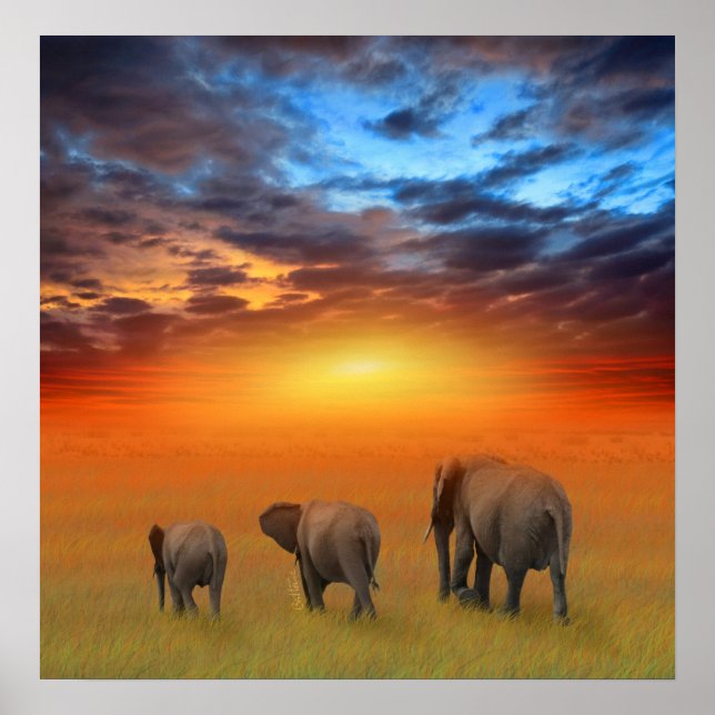 Póster El futuro es brillante (Frente)