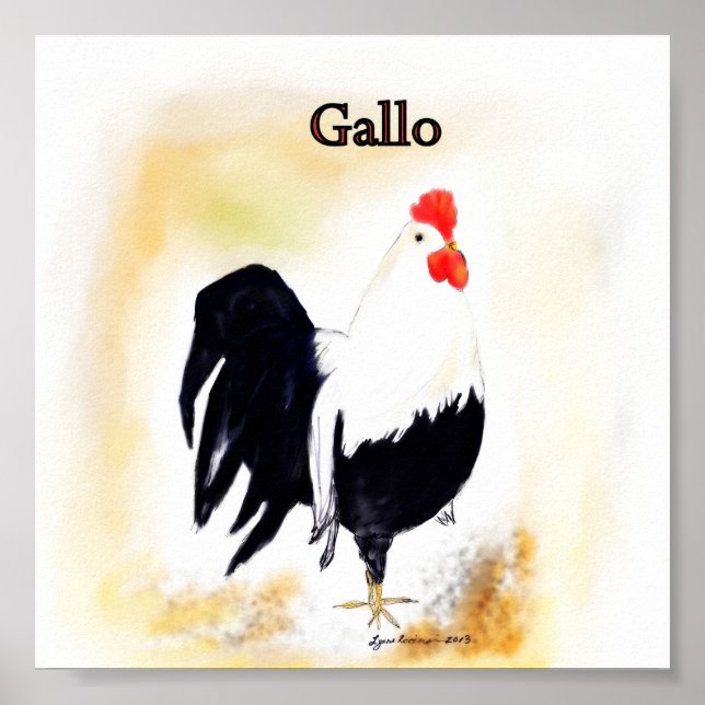 Póster El gallo de gallo italiano (Frente)