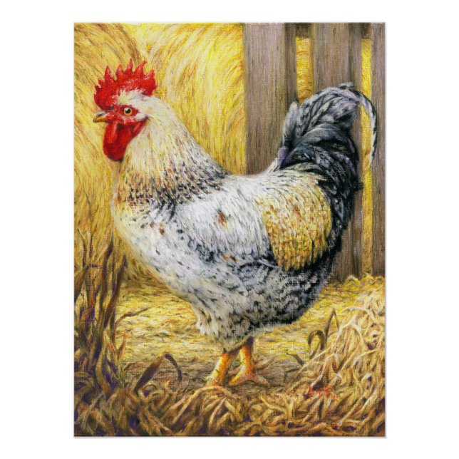 Póster El gallo de los graneros (Anverso)