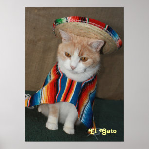 Póster El gato