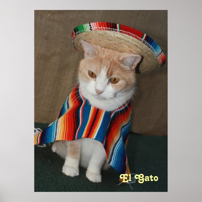 Póster El gato (Frente)