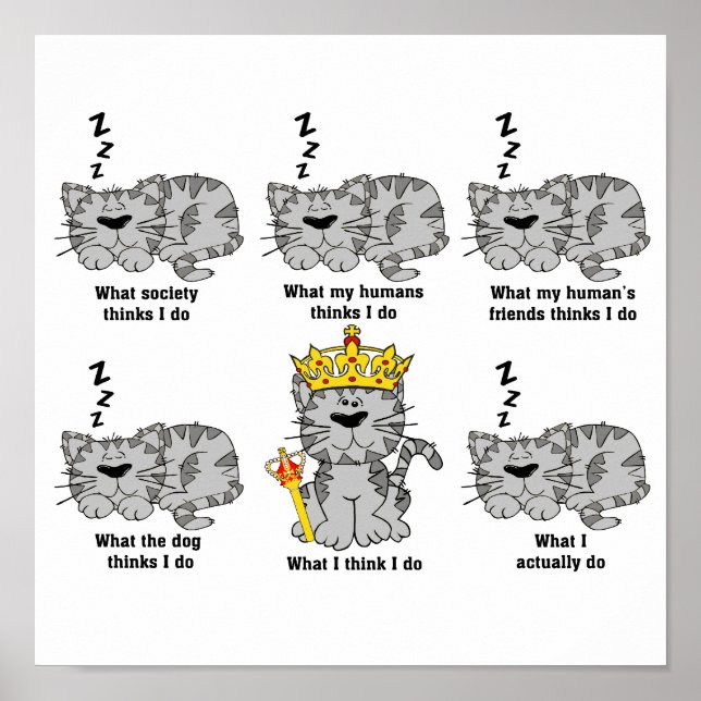 Póster El gato (Frente)