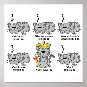 Póster El Gato