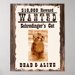 Póster El gato de Schrodinger buscaba poster